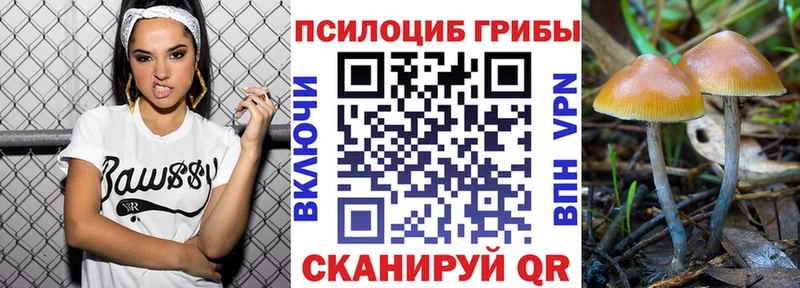 Купить  Ильский  Галлюциногенные грибы мухоморы 