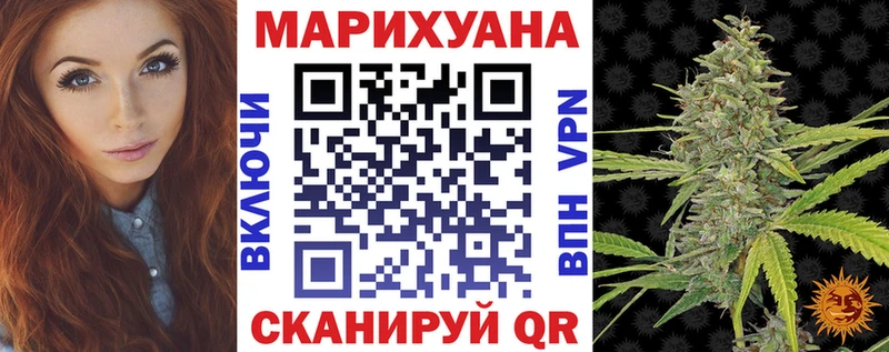 Конопля планчик Ильский