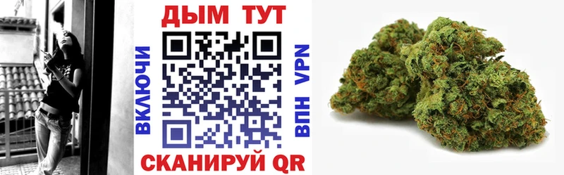 Бошки марихуана SATIVA & INDICA  Купить  Ильский 